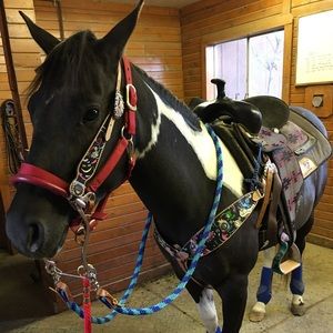 Meet your Posher, Jaden